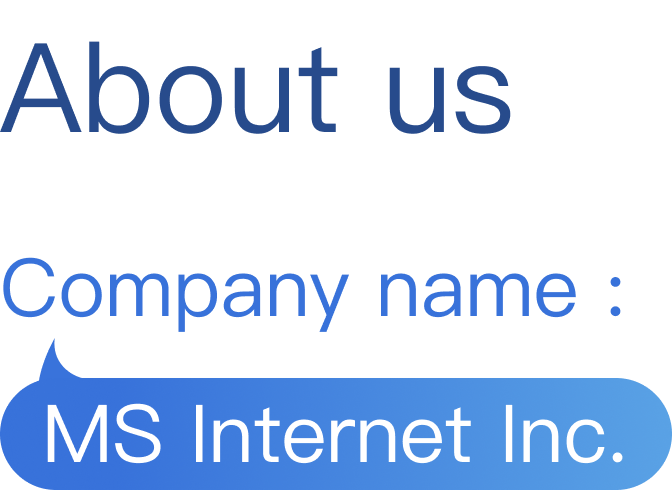MS Internet Inc.