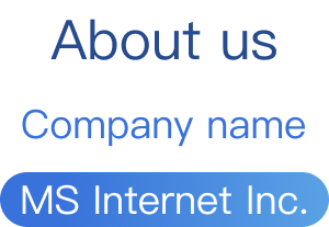 MS Internet Inc.